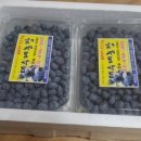 태수농장 이미지