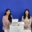 【Blackswan Live】 셀마주 방송 후기
