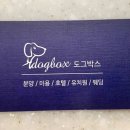 도그애견샵 이미지