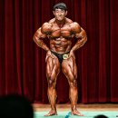 몸애반하다 이미지