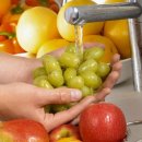 생채소·과일 먹기 찝찝한데… 농약 없애는 방법들 실험해보니 이미지