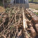 축령산농장 이미지