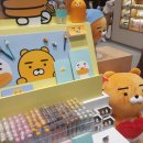 카카오 프렌즈 동대문 이미지