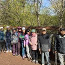 2026년 5월 15일 Hiking - Mimico Creek Trail 이미지
