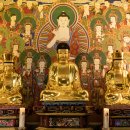 창원 성흥사 목조아미타여래삼존좌상 이미지