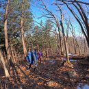 국립유명산자연휴양림 이미지