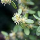 건원농장 이미지