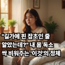 민들레병원 | 붓기 때문에 스트레스라면? 아침마다 민들레차 한 잔 마셔본 솔직 후기