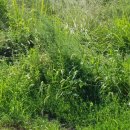 통운카센타 이미지