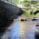 지향가든 이미지