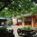 초원랜드 이미지