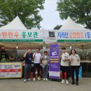 곡성-264 이미지