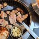고기정복 이미지