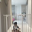 밥잘해주는 누나 | [육아일기] 8월 13일