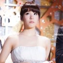 파니파니 Daum카페
