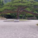 물소리새소리 이미지