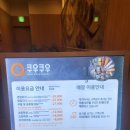 쿠우쿠우 부산광복점 | [남포맛집] 남포동 초밥 무한리필 &#34;쿠우쿠우 부산 광복점&#34;