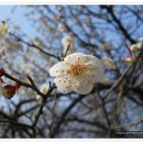 당간지주길 이미지