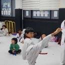 점핑클럽 태권도도장 | [조리읍 유치원 태권도] 경희동문 점핑클럽·동문도장 공개수업 4일 전입니다.
