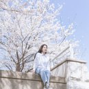 디어니스 | 인천 벚꽃 스냅 추천 | 인하대 벚꽃 스냅 촬영 후기 (디어니스)