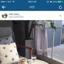 테오카페바이트 이미지