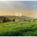 유일에프엔비 이미지