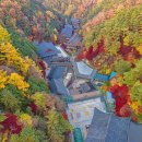 우리나라 최대 규모 천년사찰 5060이 즐겨 찾는 단풍절경 명소 이미지