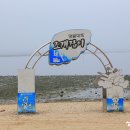 조개체험장  대죽 이미지