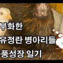 둥지마트 이미지