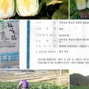 땅끝햇살고추
