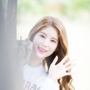 데이지데이 Daum카페