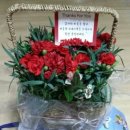 속초 외할머니댁 이미지