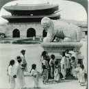 백정 - 울릉군 봉래2길 11 | 백정
