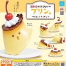 주영푸딩