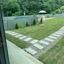 사시장청