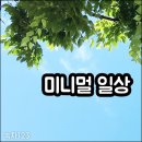 지혜컴퓨터 세탁소 | 저의 미니멀라이프 근황