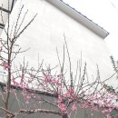 한일교류의길 이미지