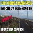 25시부동산공인중개사사무소 이미지