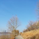 강변자전거길(북) 이미지