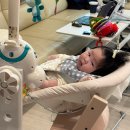 (주)도도바이오 | [D+140~160] 5개월 8.8kg 여아, 카시트 구매, 분유 2단계 준비, 이유식 준비, 유산균 변경(드시모네)