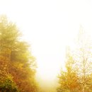 수산리-19 이미지