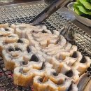 측백장어 이미지