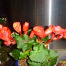 김천보건소 이미지