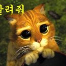 촌놈식당 이미지