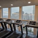 골드짐헬스클럽 이미지