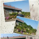 미가공인중개사사무소 이미지