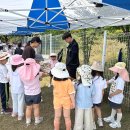 대구대학교사범대학부속 영광유치원 이미지