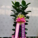 (주)인기엔지니어링 - 기장군 | (주)인기엔지니어링