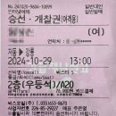 하얀고래펜션 | 독도렌트카&#39;를 선택한 이유 추천 후기 (렌트 필수, 가격), 울릉도 역대급 가성비 숙소 &#39;하얀고래펜션&#39;