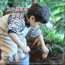 씨유 평택고덕수변점 | 평택 고덕 아이와 가볼만한 곳 | 고마워토토 평택점 | 39개월 아이 분리수업 후기 | 유아 체험 공간